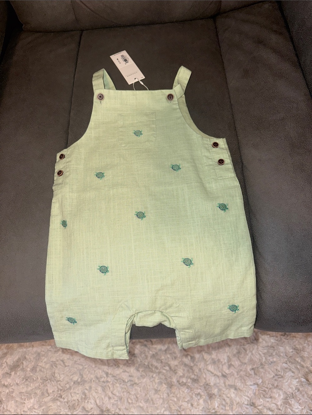 Janie and Jack Pale Green Turtle-Embroidered Overalls